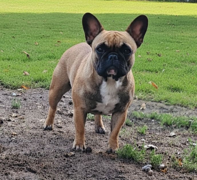 Vénus beauty du clos des voinauds
