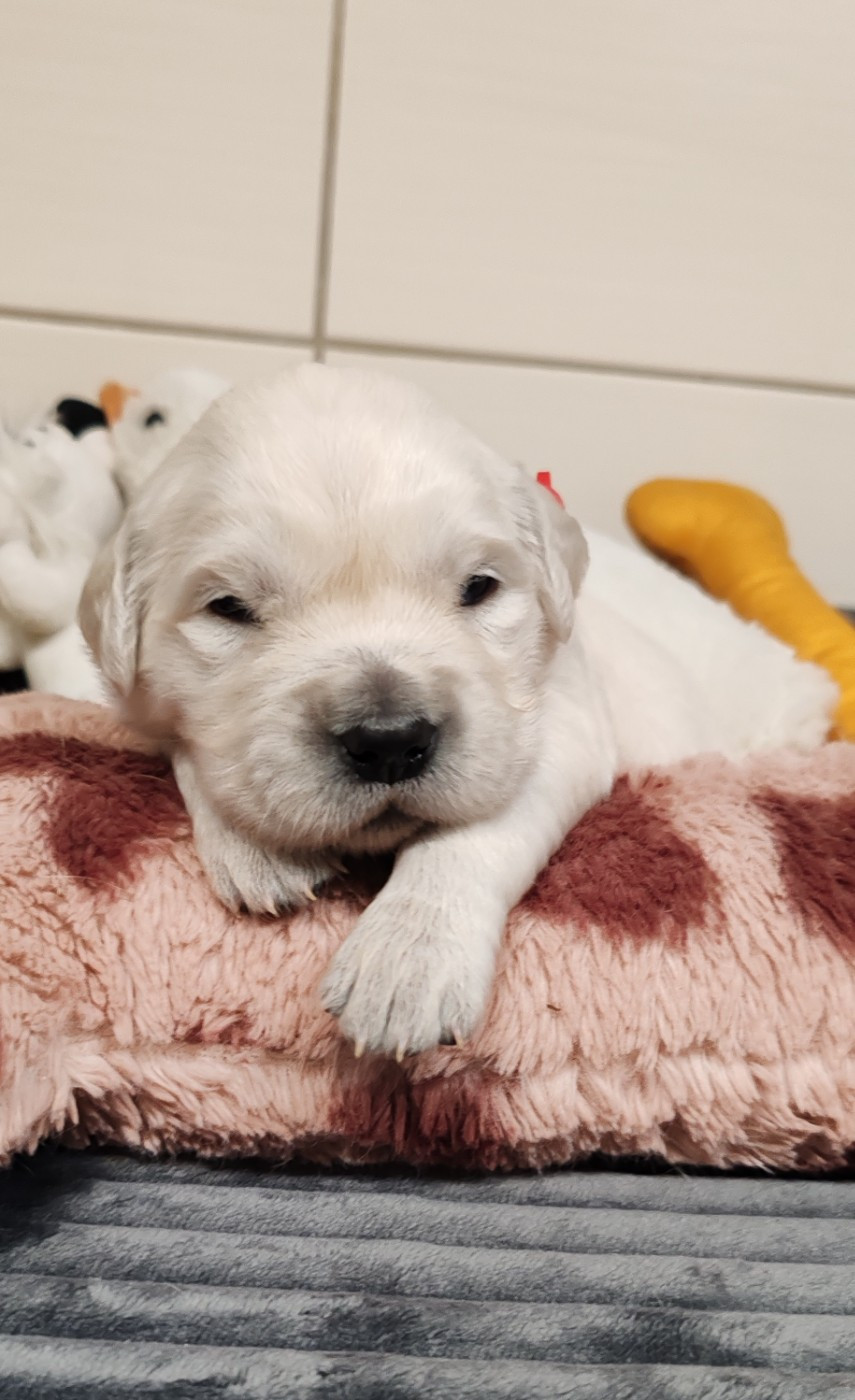 Naissance a venir pour mars 2026