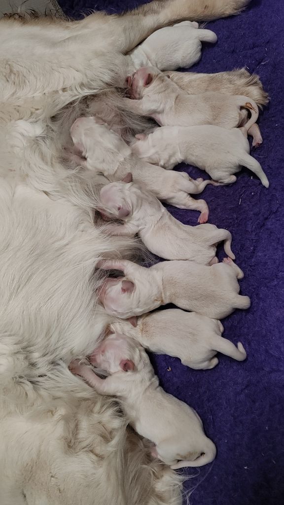 Naissance !!!
